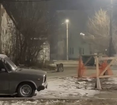 Фото: Стопкадр видео из соцсетей 