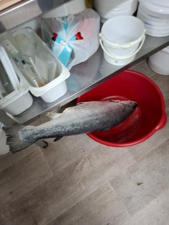 Фото: пресс-служба Роспотребнадзора Хакасии