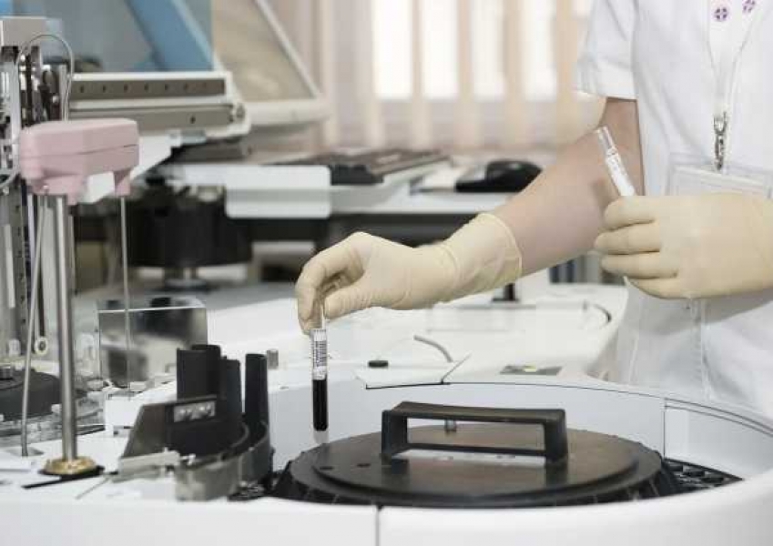 Фото: pixabay.com 