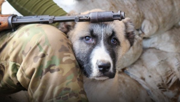 Фото: Konopatov Yuri/news.ru/Globallookpress