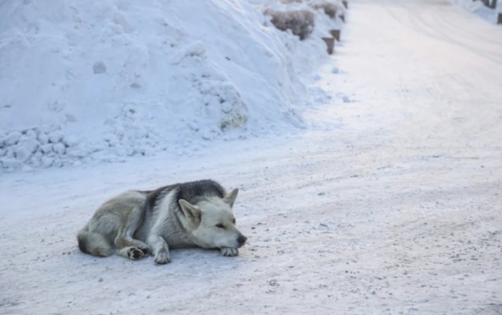 Фото: ИВАНОВА Диана  