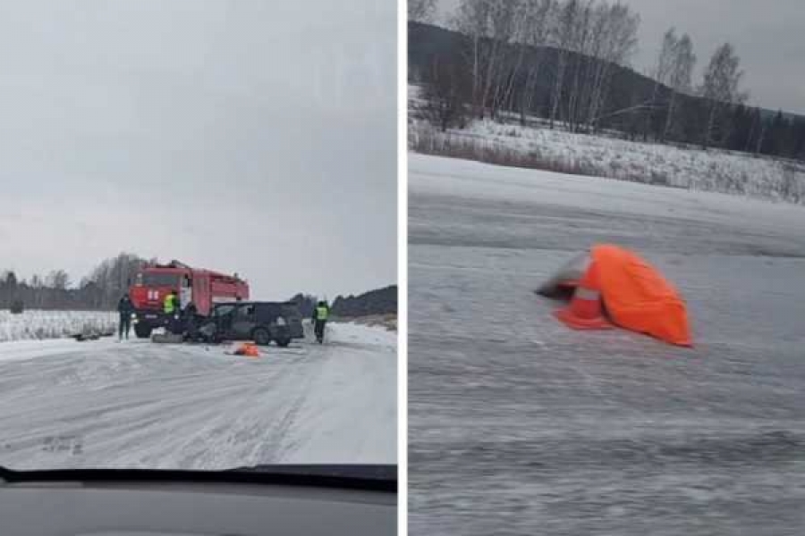 Фото: vk.com/kolesolsib 