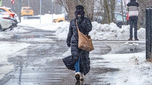 Фото: ИЗВЕСТИЯ/Константин Кокошкин