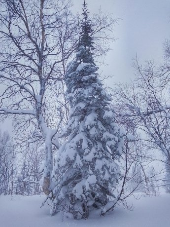 Фото: «Приисковый. Ивановские озера» / ВКонтакте