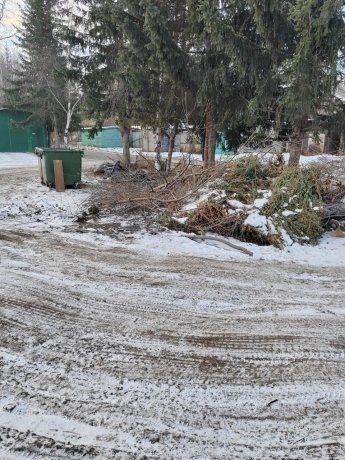 Фото: из чата "Сорские вести" / Telegram