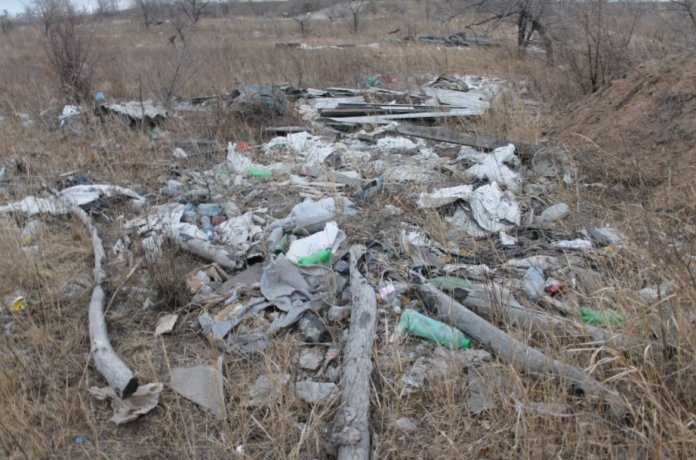 Фото: пресс-служба Россельхознадзора по Хакасии и Тыве