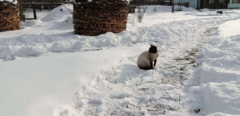 Фото: Владимир Красилов 