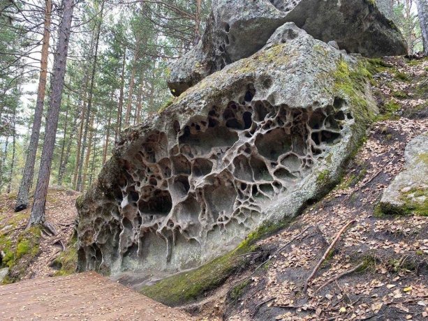 Фото: пресс-служба Минприроды Хакасии