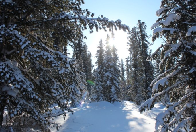 Фото: Природный парк "Ергаки"