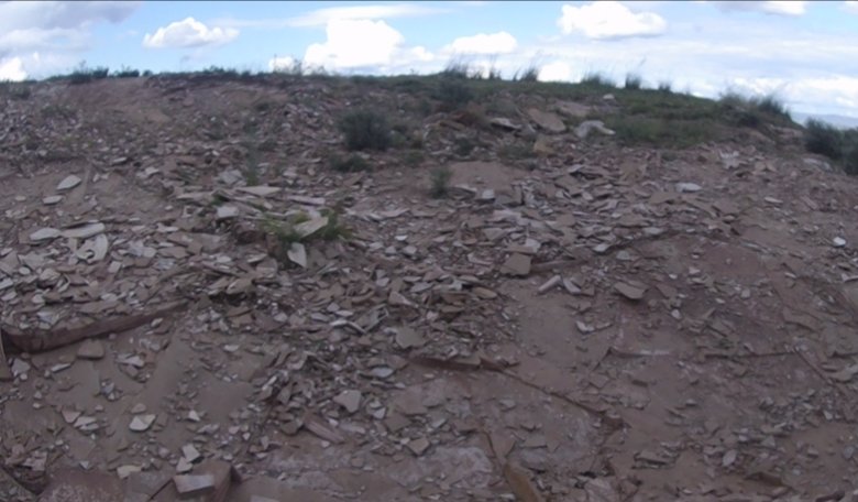 Фото: пресс-служба Россельхознадзора по Хакасии и Тыве