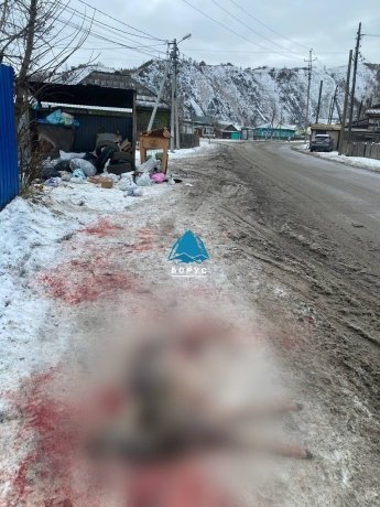 Фото: Борус.Люди