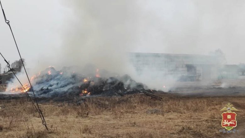 Стоп-кадр видео МВД по Хакасии