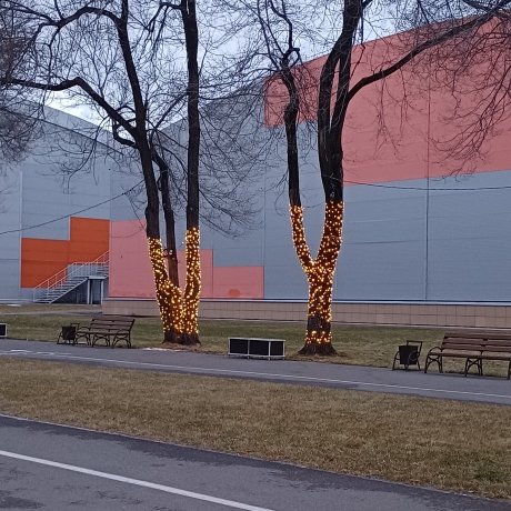 Фото: ПКиО Абакана