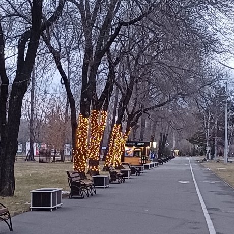 Фото: ПКиО Абакана