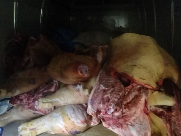 Фото: Управление Россельхознадзора по Хакасии и Тыве