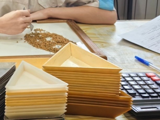 Фото: Тг-канал Управление Россельхознадзора по республикам Хакасия и Тыва