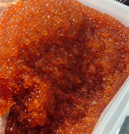 Фото: Россельхознадзор по Хакасии и Тыве