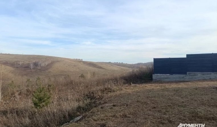 Фото: Татьяна Бахтигозина / krsk.aif.ru