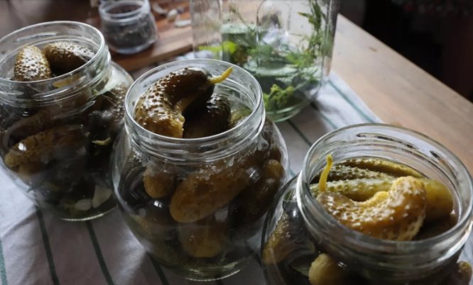 Фото: РИА Новости