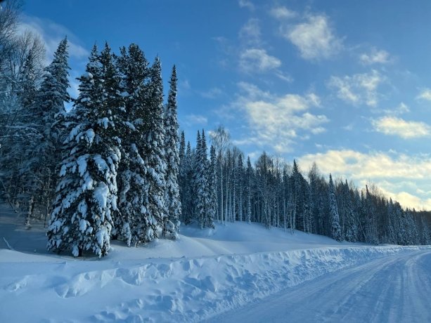 Фото: Сергей Сокол