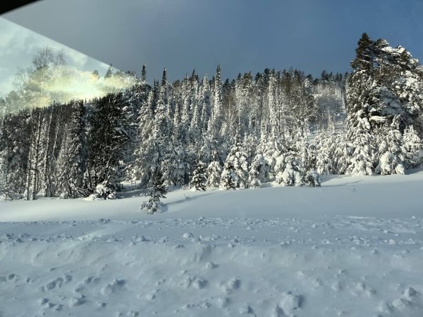 Фото: Сергей Сокол 