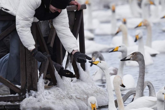 Фото: РИА Новости/Владимир Вяткин