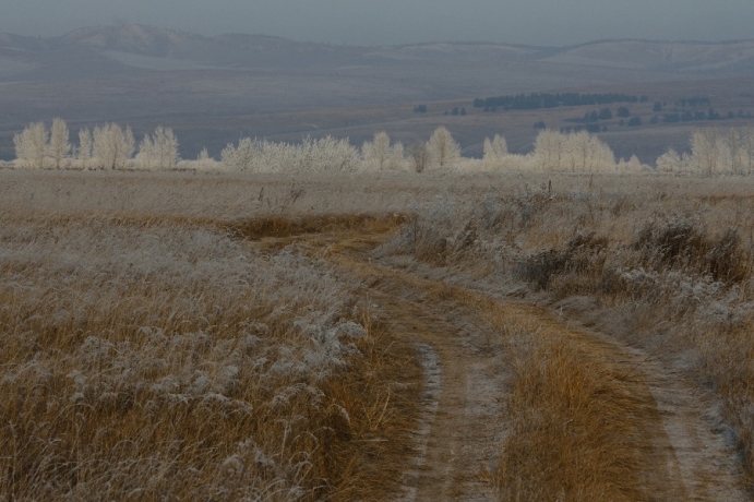 Фото: Константин Белоногов