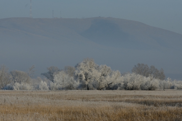 Фото: Константин Белоногов