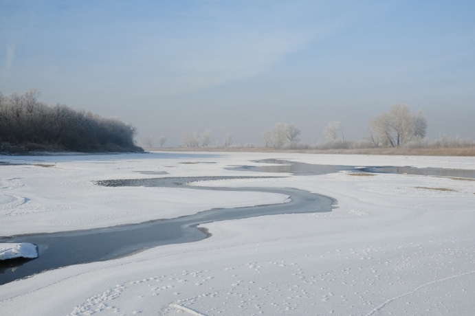 Фото: Константин Белоногов