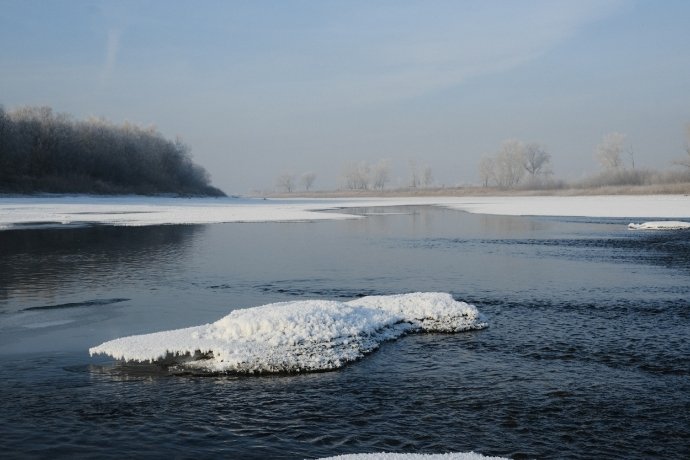 Фото: Константин Белоногов