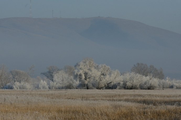 Фото: Константин Белоногов