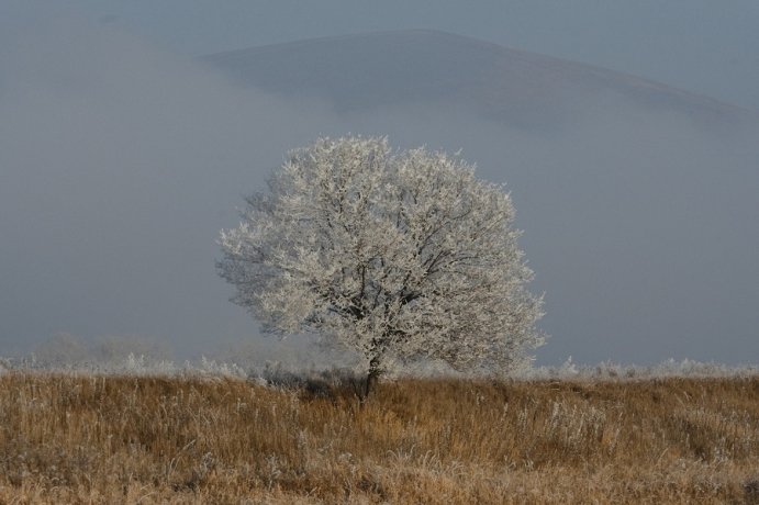Фото: Константин Белоногов