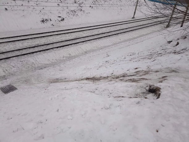 Фото: Управление на транспорте МВД России по СФО