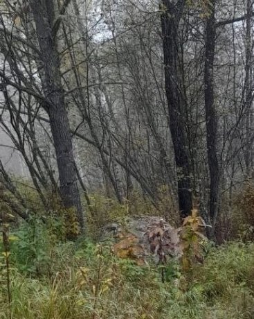 Фото: Прокуратура Хакасии