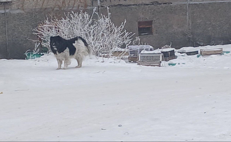 Фото: из тг-канала Елены Егоровой