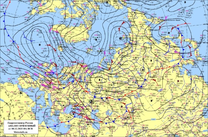 Фото: из тг-канала Татьяны Ивановой
