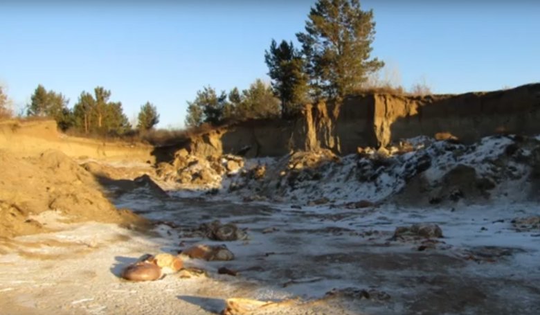 Стоп-кадр видео МВД по Хакасии