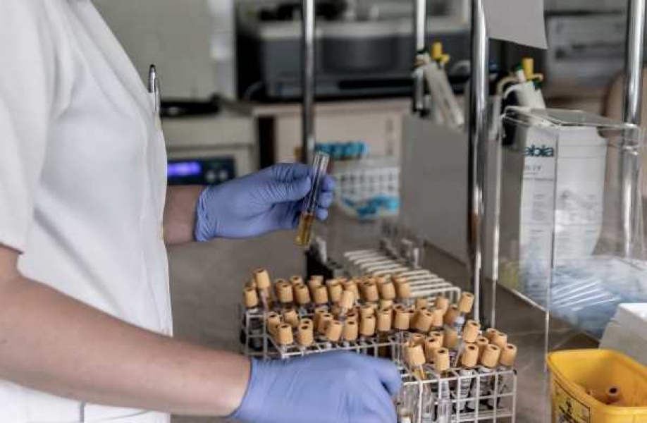 Фото: pixabay.com 