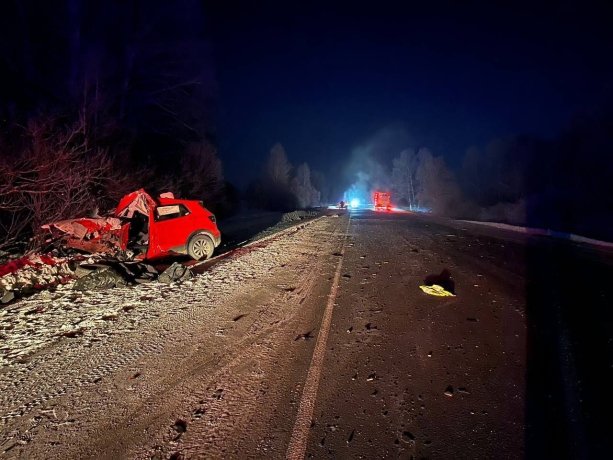 Фото: Госавтоинспекция по Красноярскому краю