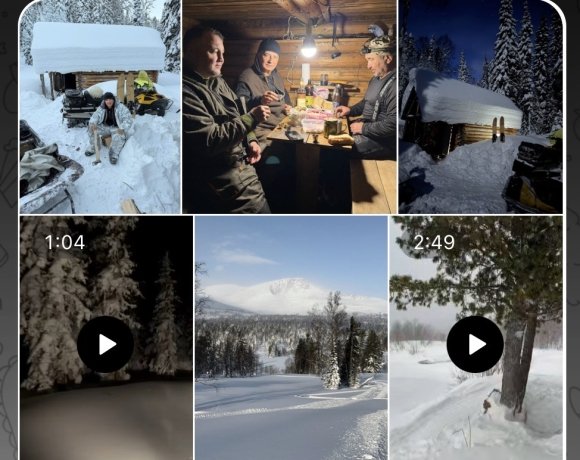 Фото: скриншот из тг-канал Александра Мясникова