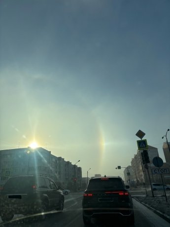 Фото: Елена Лехер