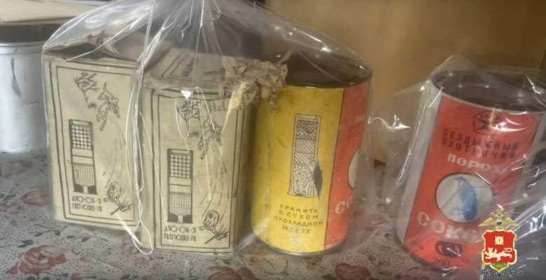 Фото: Стопкадр видео МВД