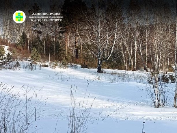 Фото: Администрация Саяногорска 
