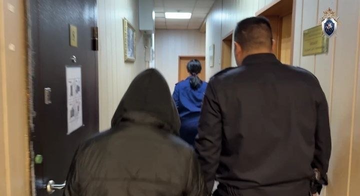 Фото: Стопкадр видео СУ СК России по Красноярскому краю и Тыве