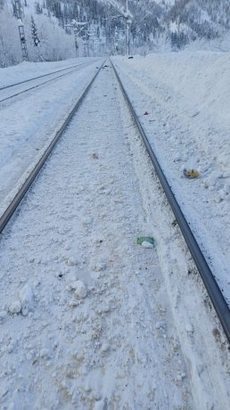 Фото: Управление на транспорте МВД России в СФО