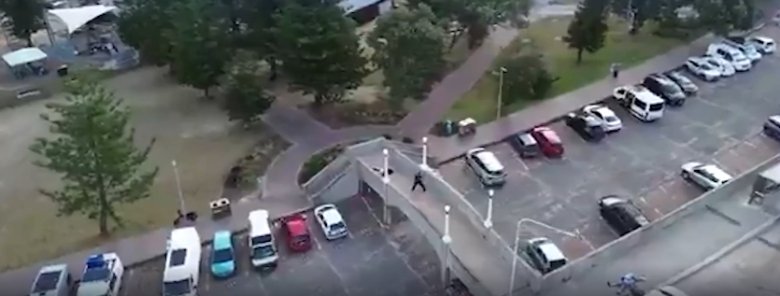 Фото: Стопкадр видео из соцсетей