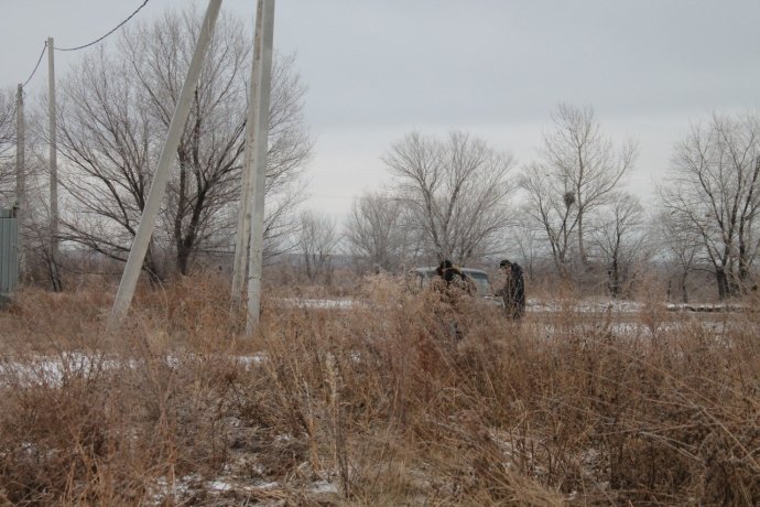 Фото: пресс-служба Управления Россельхознадзора по республикам Хакасия и Тыва