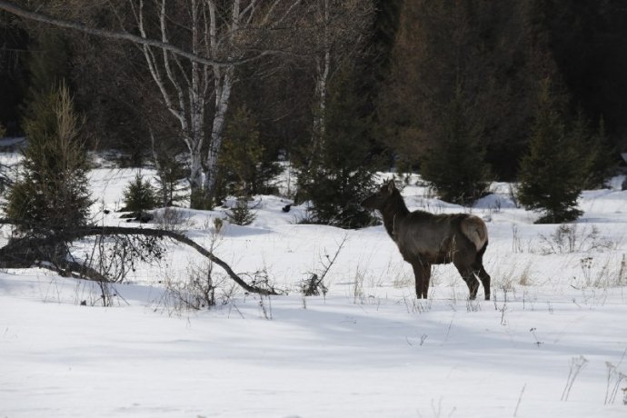 Фото: Минприроды Хакасии