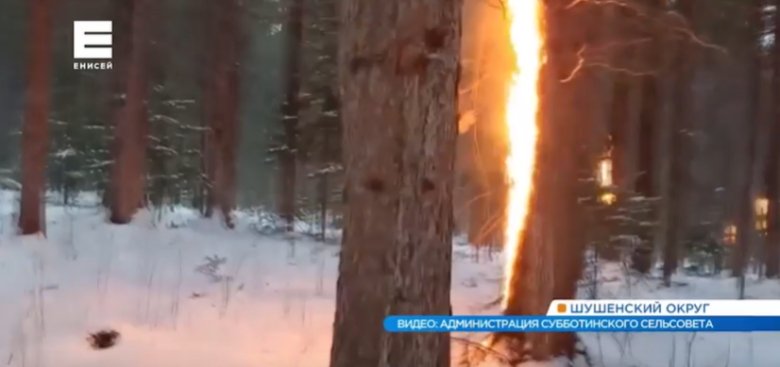 Фото: Стоп-кадр видео Енисей ТВ
