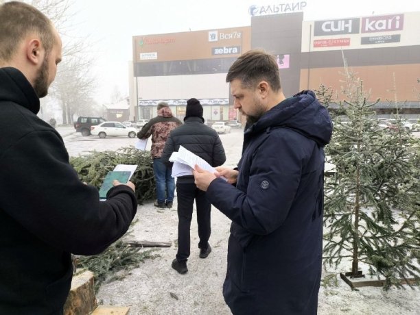 Фото: Минлес Хакасии